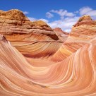 The Wave